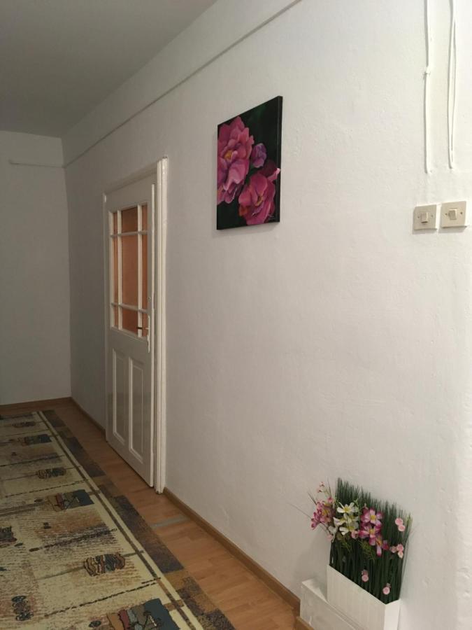 Апартаменты House Centrul Istoric Ll Сибиу Экстерьер фото